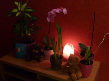 Méli mélo de fin et début d'année ... 