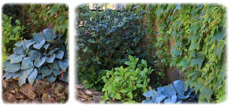 Le Jardin Sainte-Anne ... ou le Jardin des Superlatifs