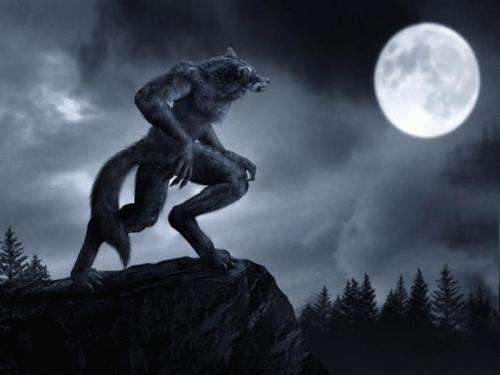 Peur sur la montagne...
