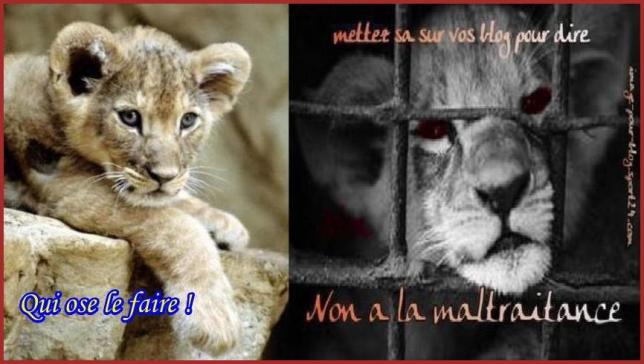NOS CiRQUES
