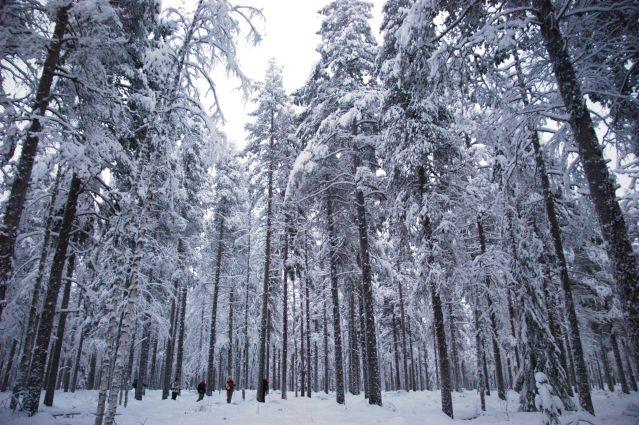 La Finlande dans l'Europe