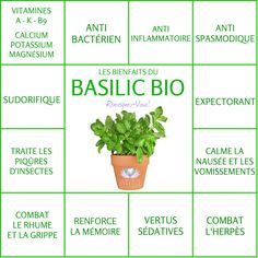 ⊱♥⊱╮ღ꧁  Nos Bienfaits ꧂ღ ⊱♥≺