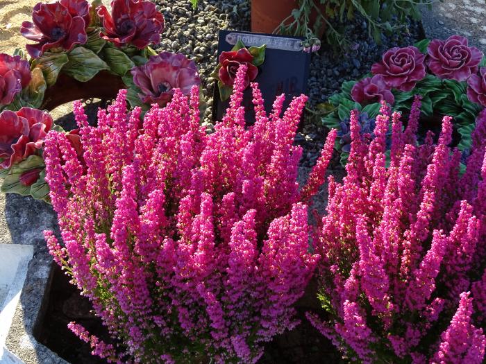 Vente des Trépassés ou Ventes des âmes