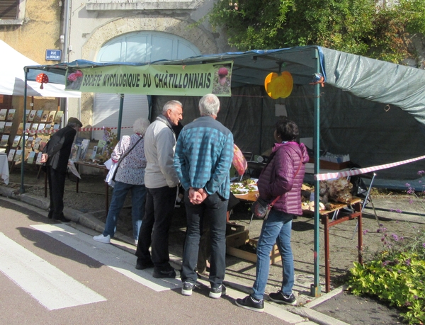 La Fête de la Pomme 2018 à Laignes
