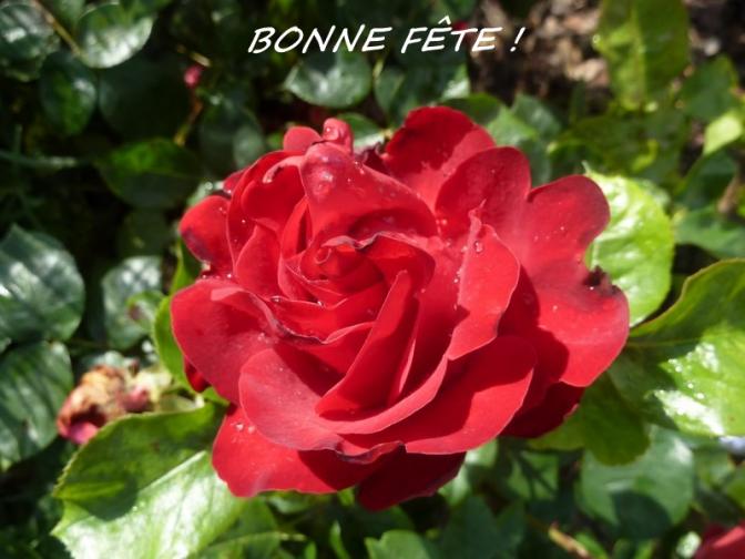 fête des mères 26 mai