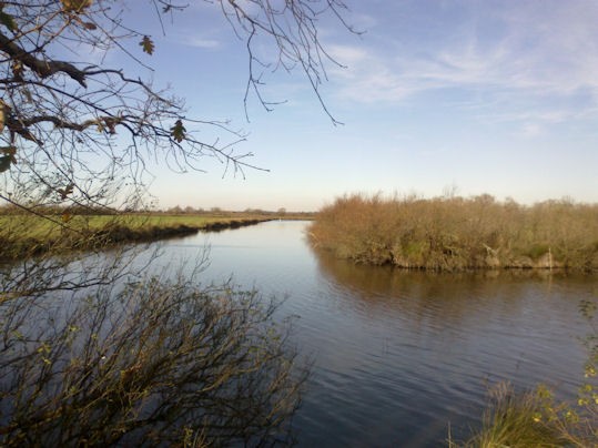 Image35