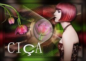 Ciça