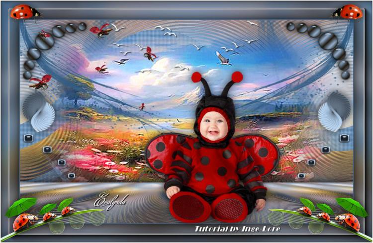 Ladybug