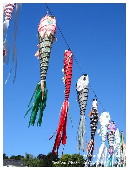 Festival PHOTOS La Gacilly - 2016
