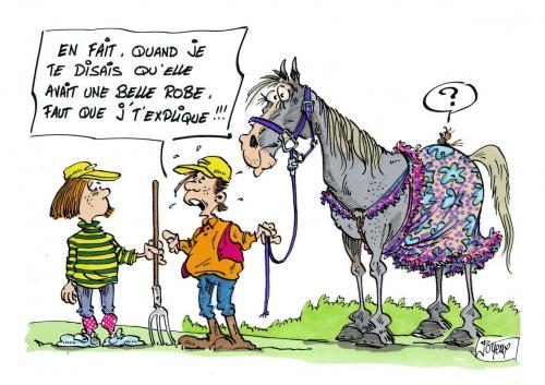 Image Web