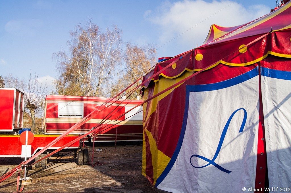 C'est le cirque sur mon blog.