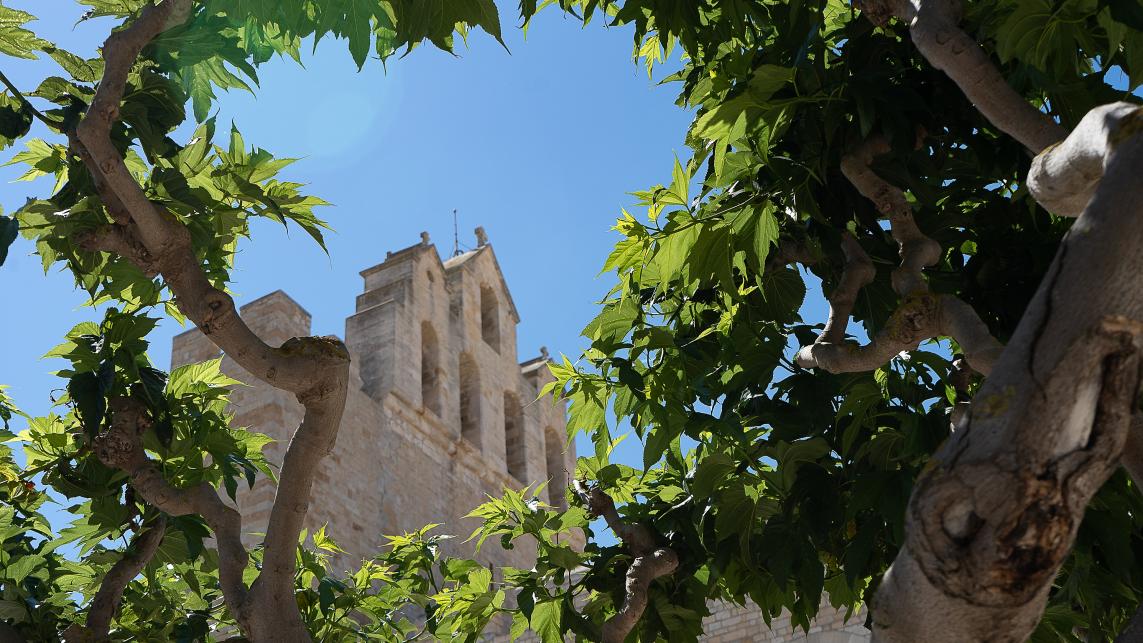 OC 2021 : Saintes Maries de la Mer : loin de la foule. (1)