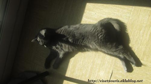 1/2 bronzage
