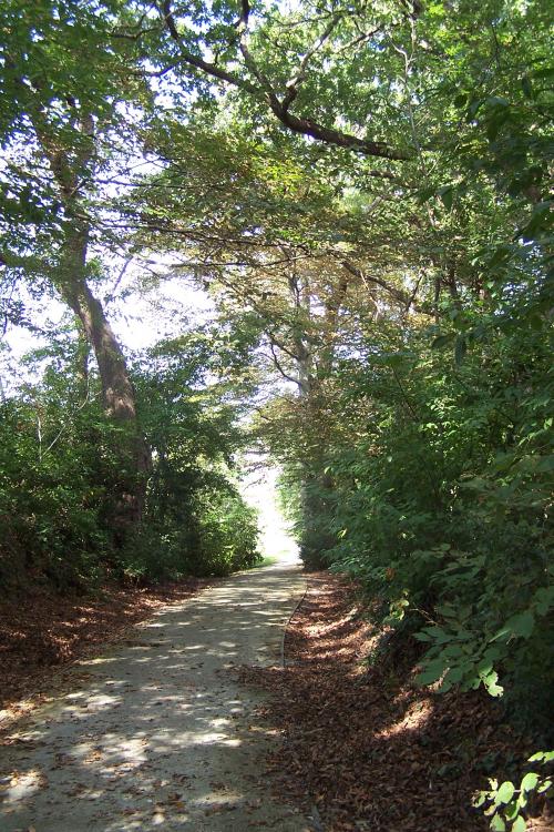 Le vallon de Latchague - Anglet