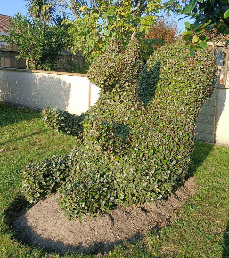 Ecureuil et oiseaux en art topiaire - novembre 2024...