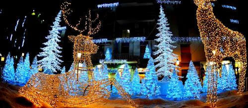 Le jardin de lumière