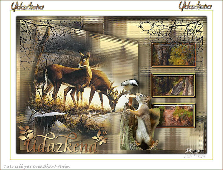 Udazkena (Automne en basque - Otoño en vasco)