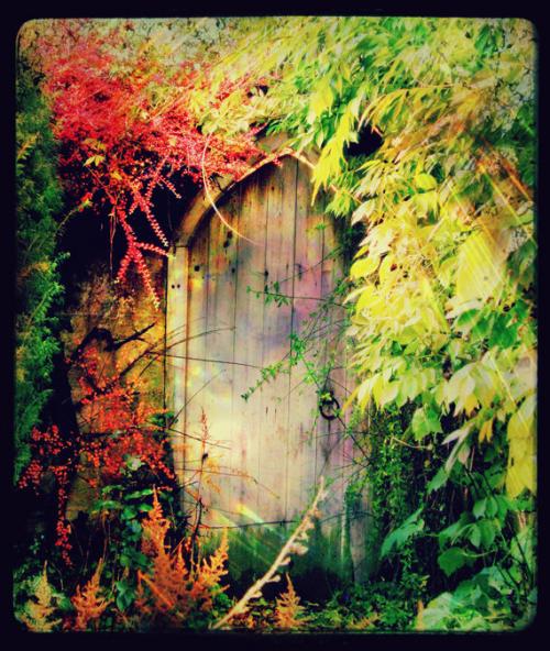 Vendredi senryû, haïku sur l'automne...
