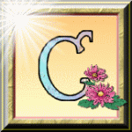 ღ꧁ღ╭⊱ꕥ  Divination ꕥ⊱╮ღ꧂ღ