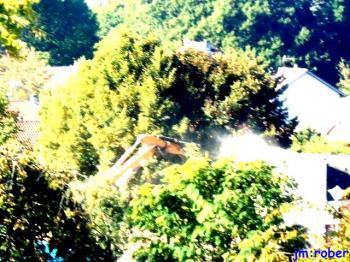 Poulouzat-Condat sur Vienne,  son paysage change 