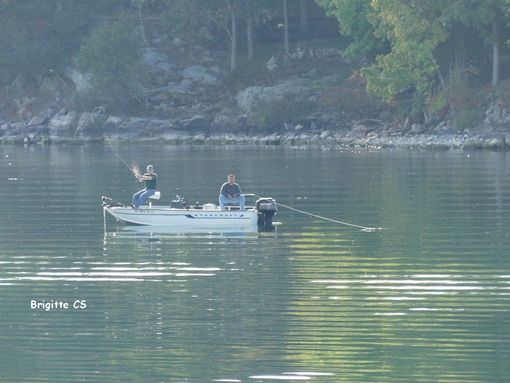 Croisière sur le Saint-Laurent, dans le Parc Naturel des Mille Iles au Canada...