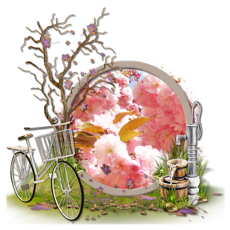 Enfin le printemps !