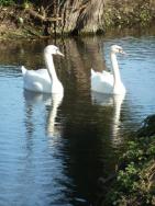 La randonnée du 26 mars à Argences