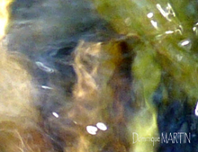 Les émanants de l'été