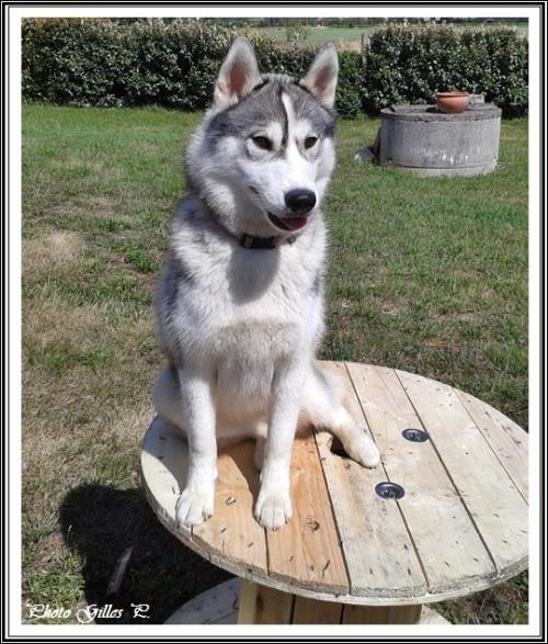 Iska (9,5 mois)