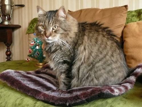 Noel-2012_04.JPG