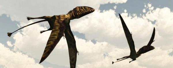 Les dinosaures volants