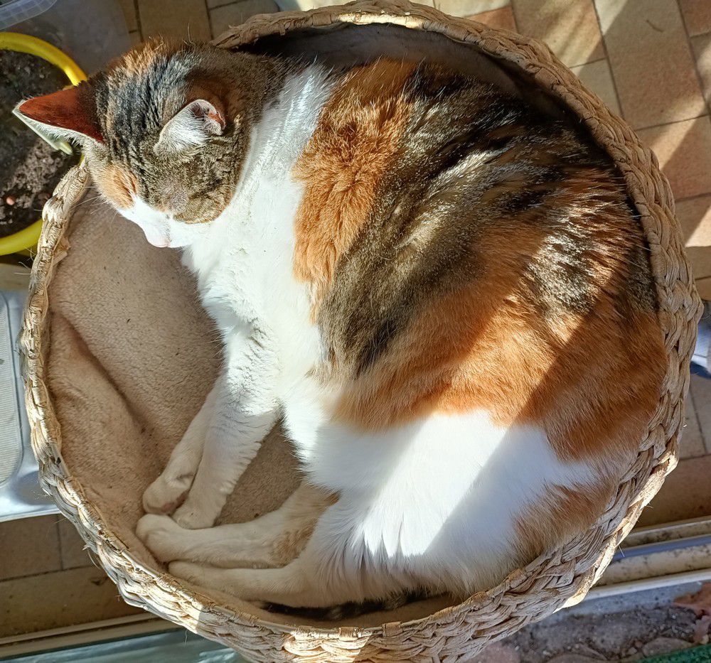 Des nouvelles d'Ecureuille - février 2023...