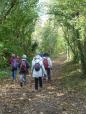 La randonnée du 22 octobre à Chicheboville