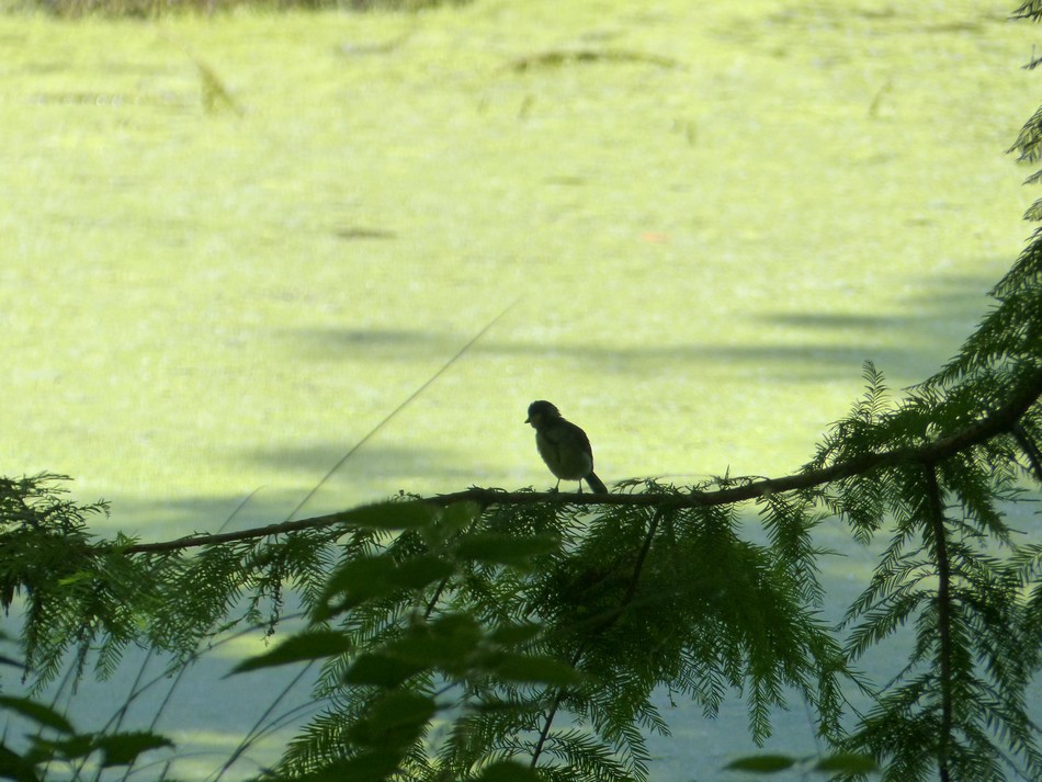 Mes rencontres du jour