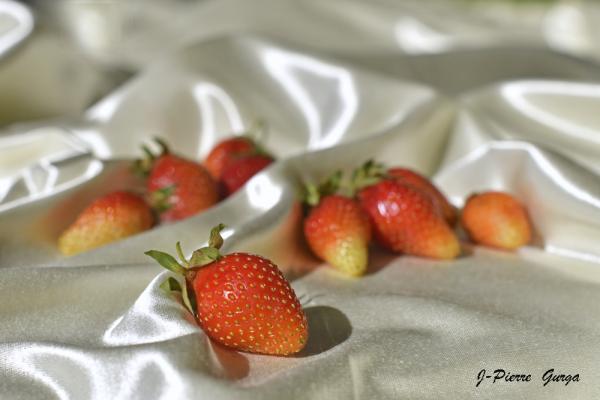 "Fraises, fleurs et cerises", de très beaux clichés de Jean-Pierre Gurga