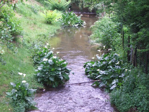 DSCF3950.JPG
