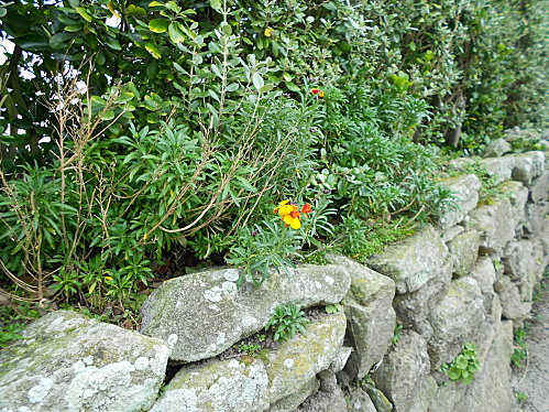 DSCN0097.JPG