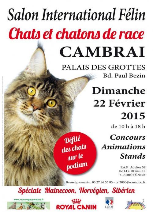 Les expos du mois de Février :