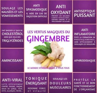 ⊱♥⊱╮ღ꧁  Nos Bienfaits ꧂ღ ⊱♥≺