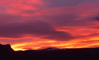 Un petit coucou du " Presque printemps " !!!