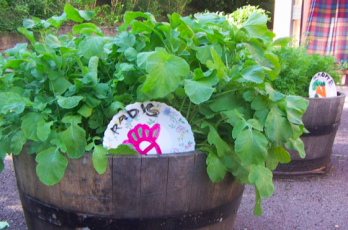 Jardins en fûts