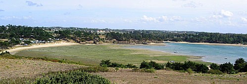 anse_du_lupin.jpg