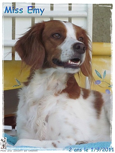2011 09 deux ans d'emy 4