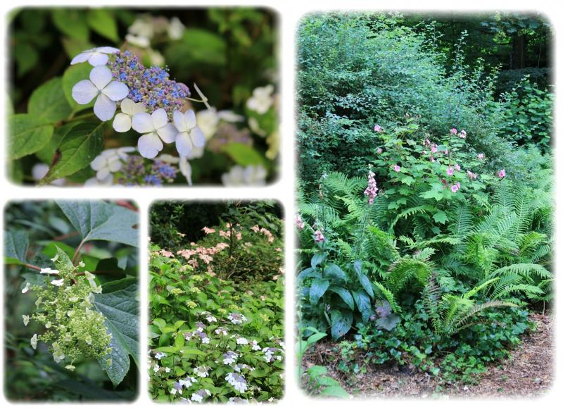 Le joli jardin de Fabienne