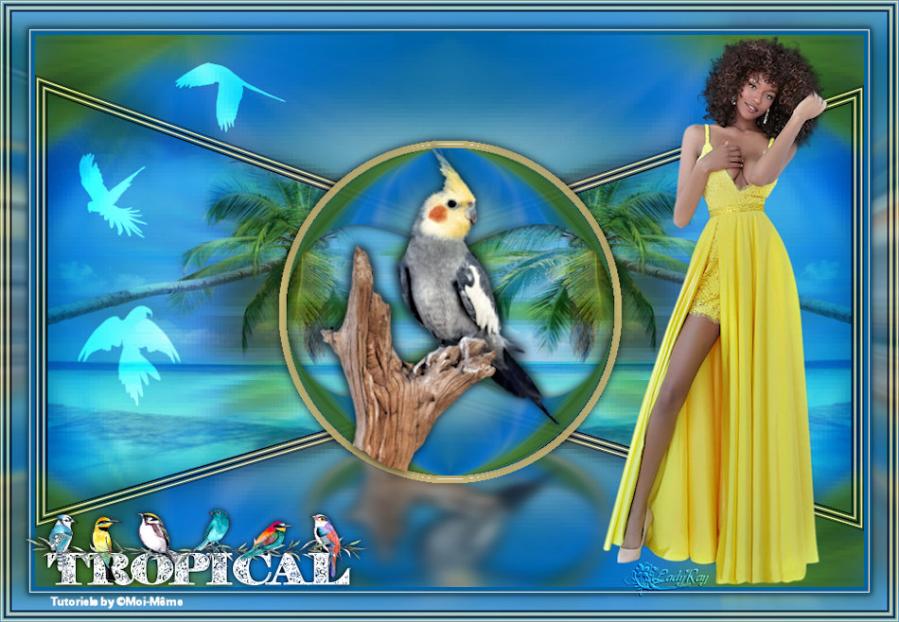 Tropical