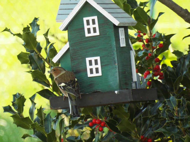 Les visiteurs au jardin ...