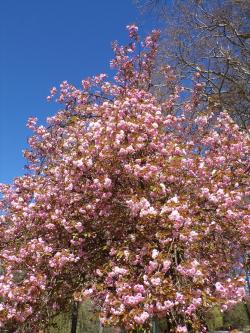 Une petite balade qui fait du bien 3 