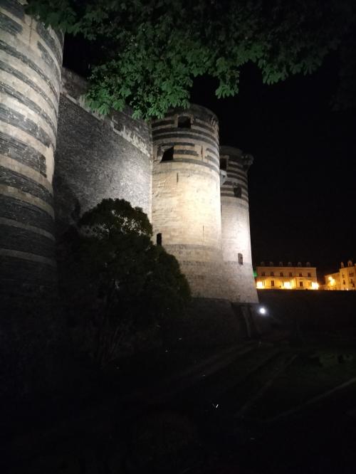 ANGERS - château partie 1