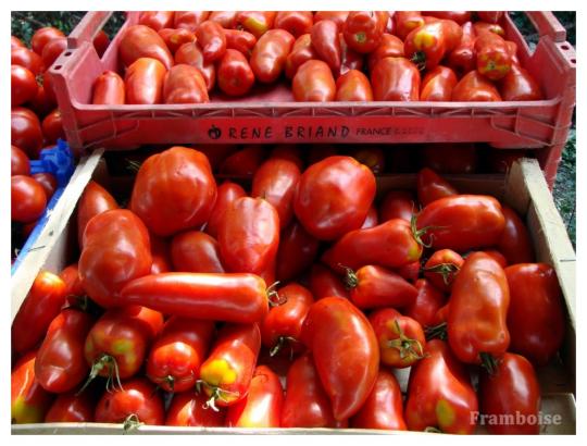  Arthon en Retz Adresse Légumes