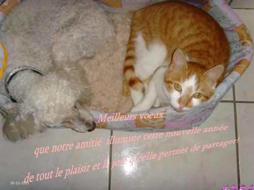REALITE DE LA VIE